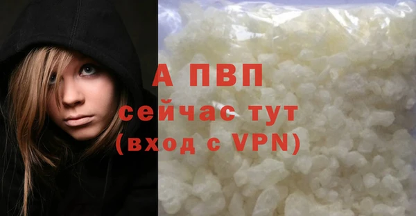 гашик Абинск